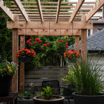 Backyard Patio & Pergola Retreat