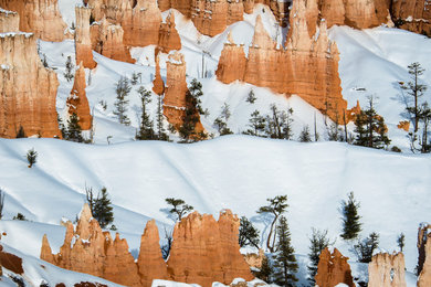 Bryce Canyon in Snow