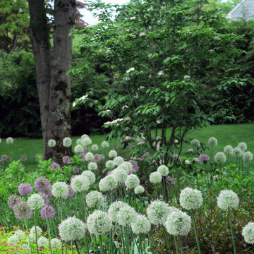 Riparian Retreat - Southport, CT