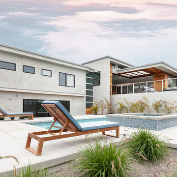 Contemporary Oasis