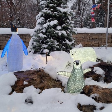 Christmas decorations