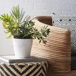 Early Spring 2017 - Paris Inspired Homes - Products