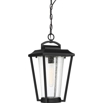Nuvo Lighting 60/6514 Lakeview - 1 Light Outdoor Hanging Lantern