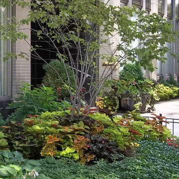 Landscape Design