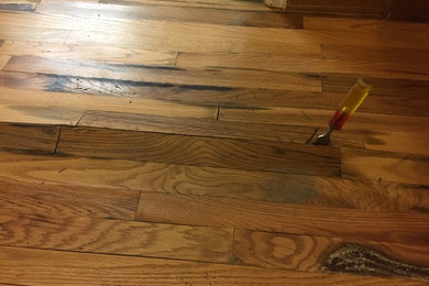 Moldy Floor