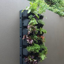 shawna_pedersen's ideas