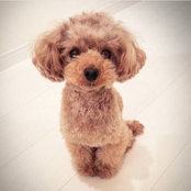 Lauren Yoon's photo