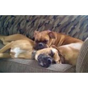 Walter Cronk's photo