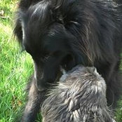 Marcey Hall's photo