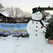 Collyers Nurseries's photo