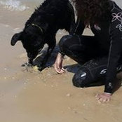 Foto von Menna Salah