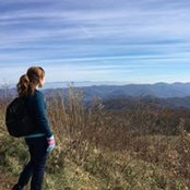 Laura McCarty's photo