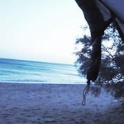 Athina Dritsa's photo