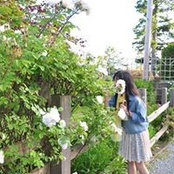 Vivien Guさんの写真