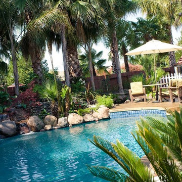 Backyard Landscape Renovation