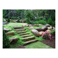 backyard landscaping