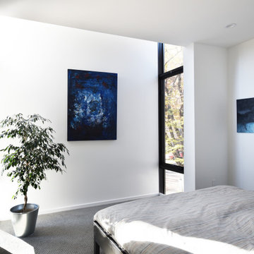 Mansion Flats Modern
