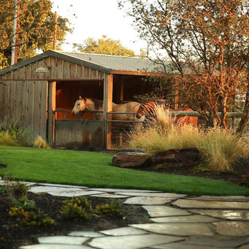 Horse Ranch