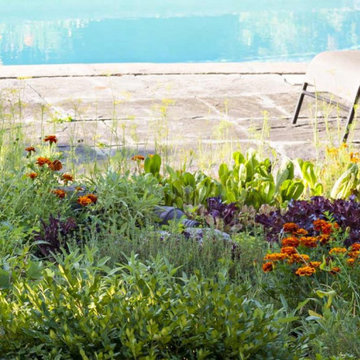 Swimming Pool Gardens