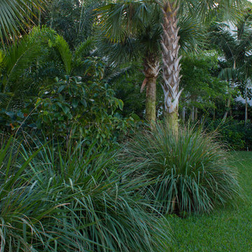 A natural oasis for children