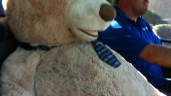 A few before and afters along with general photos of what we do