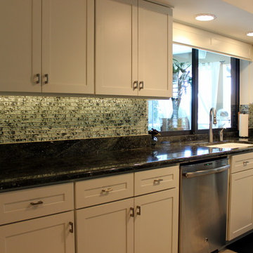 Refined Kitchen in Carrolwood