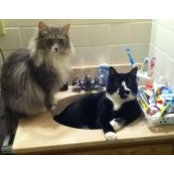 Molly Hanson's photo