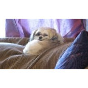 Jacqueline Hochmuth's photo