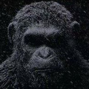 Eric Girard's photo