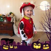 Debbie Havis's photo