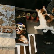 Foto de Wolf Home