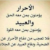 Walid Sayed T. Abouelkhair's photo