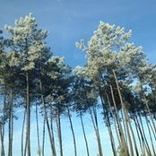 Anne Het's photo