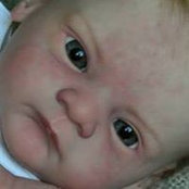 Carla Gentile's photo