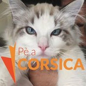 Foto von Oscar Vanina