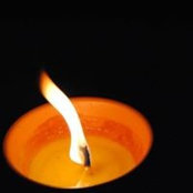 Carrie Lee-Germann's photo