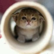 Ola Mahmoud's photo
