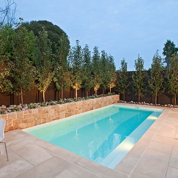 Classic family pool and landscape