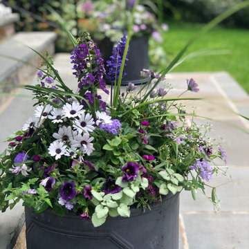 Summer Containers
