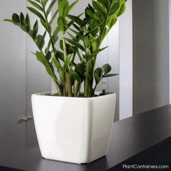 Modern Planter - Products