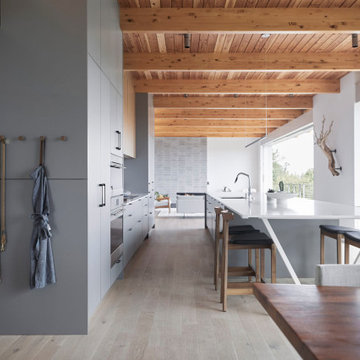 Mid-Century “Treehouse” Kitchen