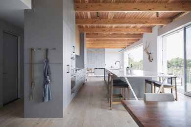 Kitchen - mid-century modern kitchen idea in San Francisco with an island