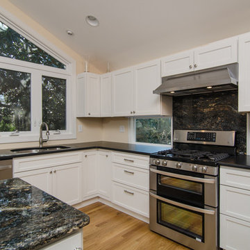 Absolute Black Honed and Saturnia Granite