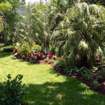 Tropical front & backyard landscapes....Palms & Color