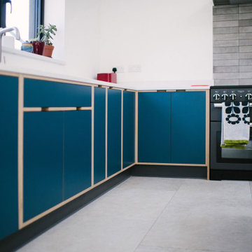 The Wests - Blue Plywood Kitchen