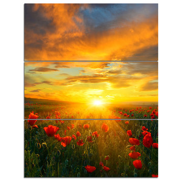 Bright New Day over Poppy Fields, Floral Triptych Canvas Print, 28x36, 3 Panels