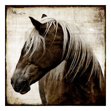 horse print