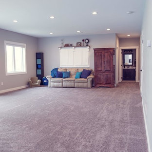 Modelo de sótano con puerta de estilo americano, sin chimenea, con paredes grises y moqueta