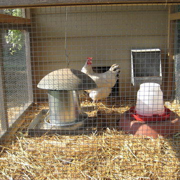 chicken coop