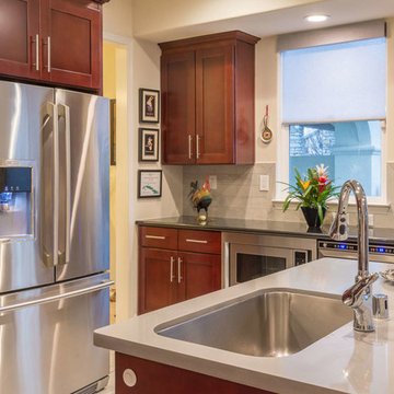 Sonoma Modern Kitchen Remodel